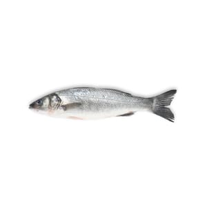 Organic Sea Bass; 500g