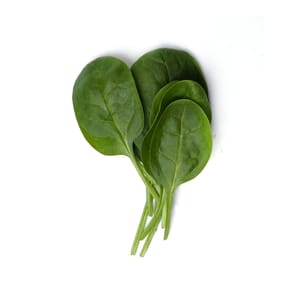 Organic Baby Spinach; 100g