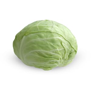 Organic White Cabbage; 500g