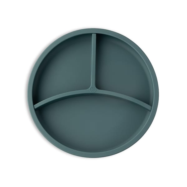 BPA-free Silicone Divider Plate - Teal