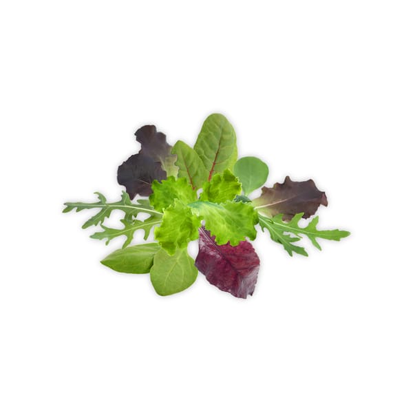Organic Lettuce Mix; 100g