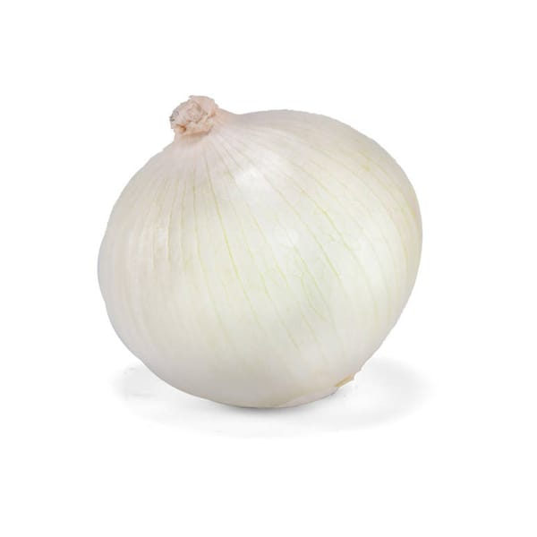 Organic White Onion; 1kg