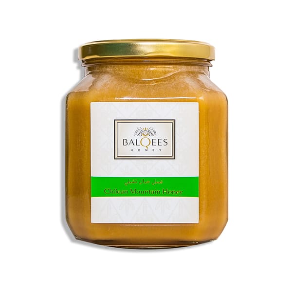 Organic Raw Honey - Chilean Mountain; 1kg