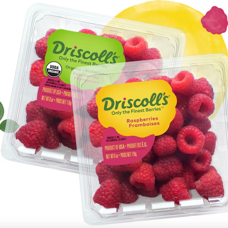 Organic Raspberries - Driscolls; 170g